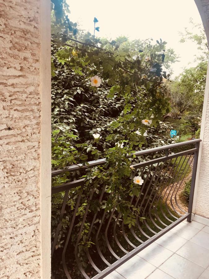بوريتش B. Ela Rooms المظهر الخارجي الصورة